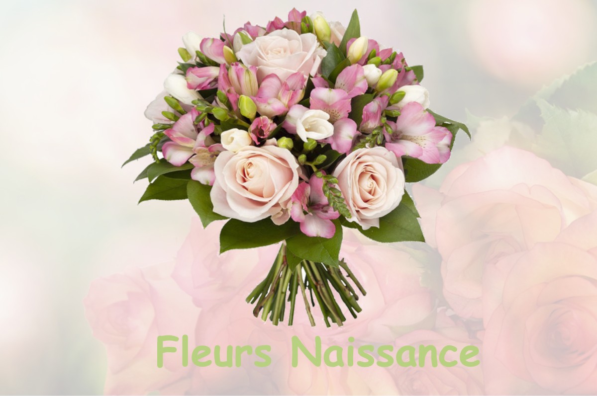 fleurs naissance MARSAIS-SAINTE-RADEGONDE